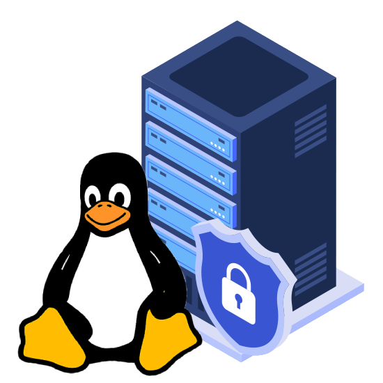 Premium Linux Web Hosting Services in Krishnanagar